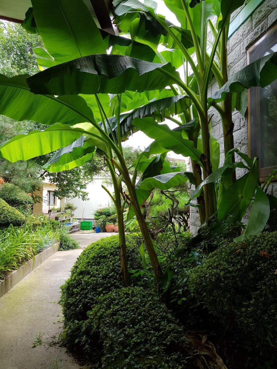 Jnw Minbak Hotel Damyang Ngoại thất bức ảnh